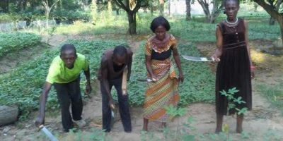 6636_17.jpg